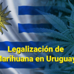 Legalizacion Marihuana Pepe Mujica Uruguay