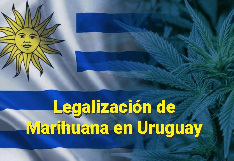 Legalizacion Marihuana Pepe Mujica Uruguay